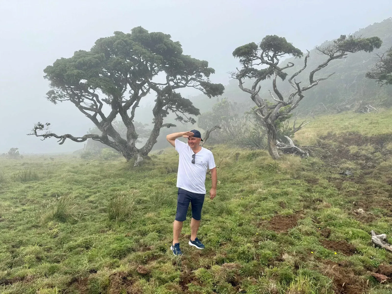 Азоры, август 2025