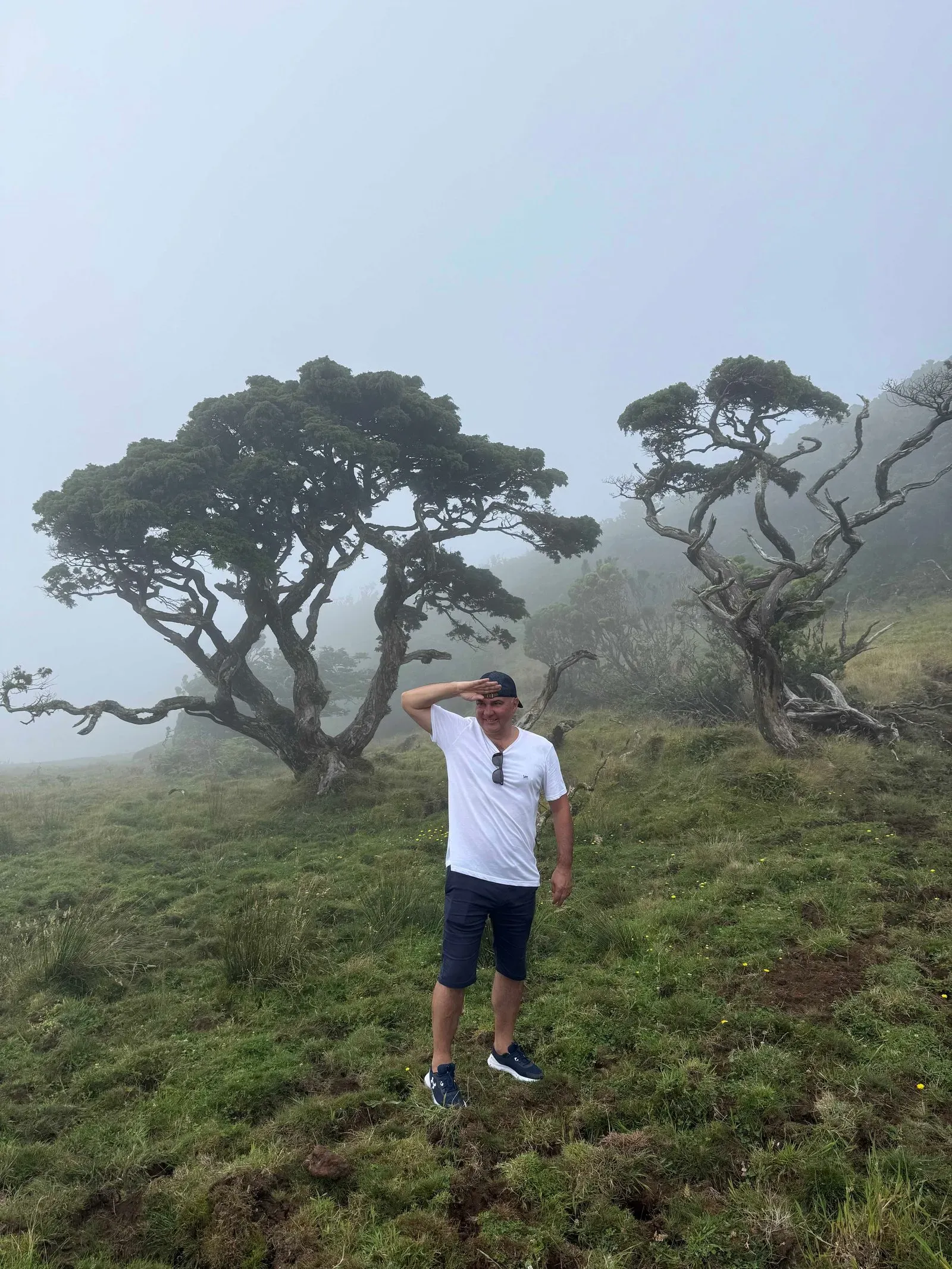 Азоры, август 2025