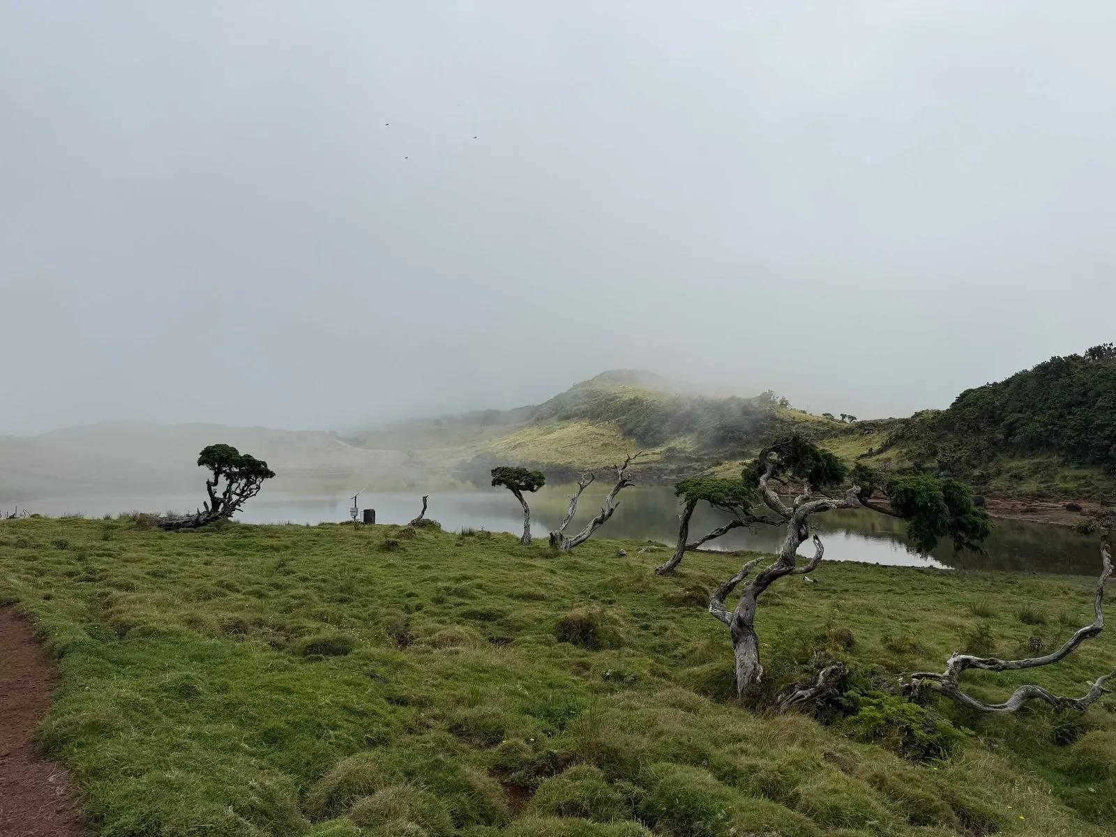 Азоры, август 2025