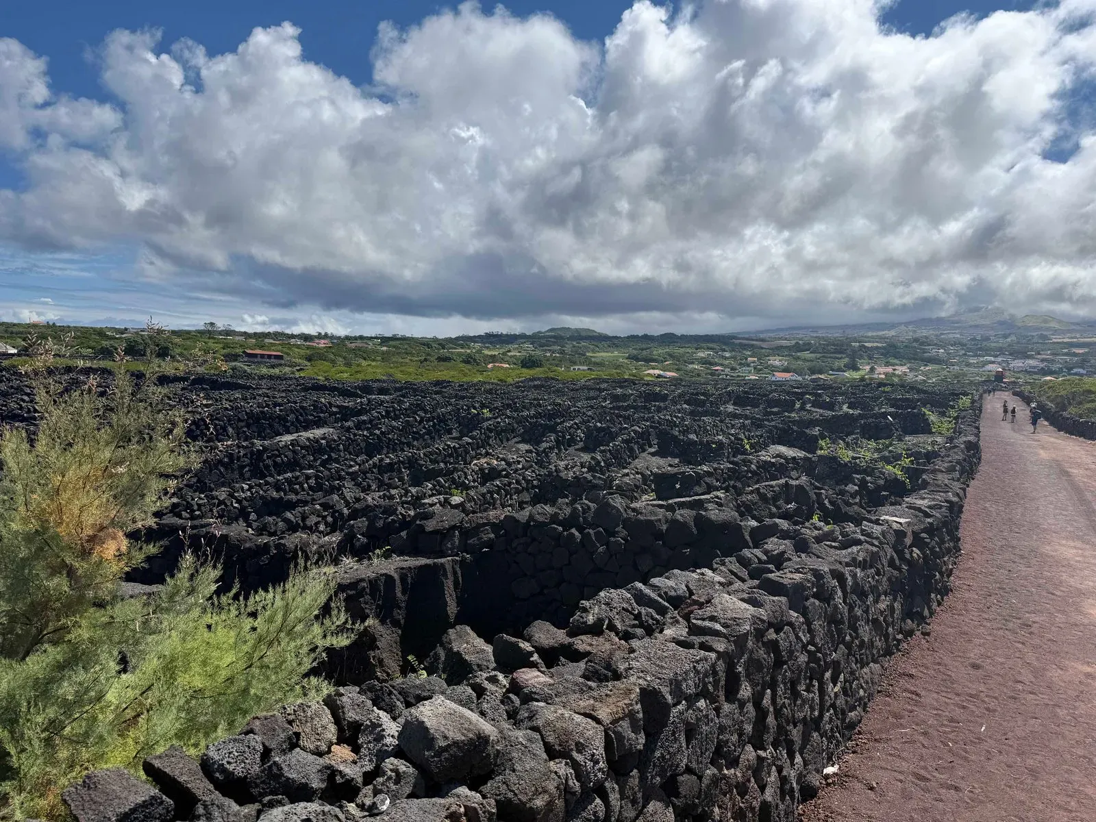 Азоры, август 2025