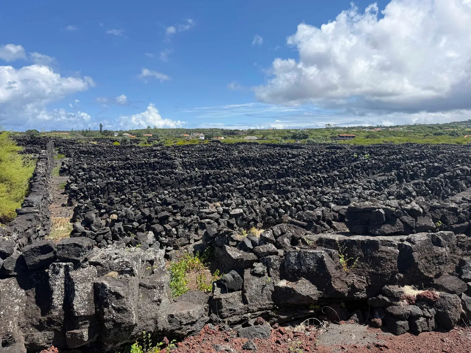 Азоры, август 2025