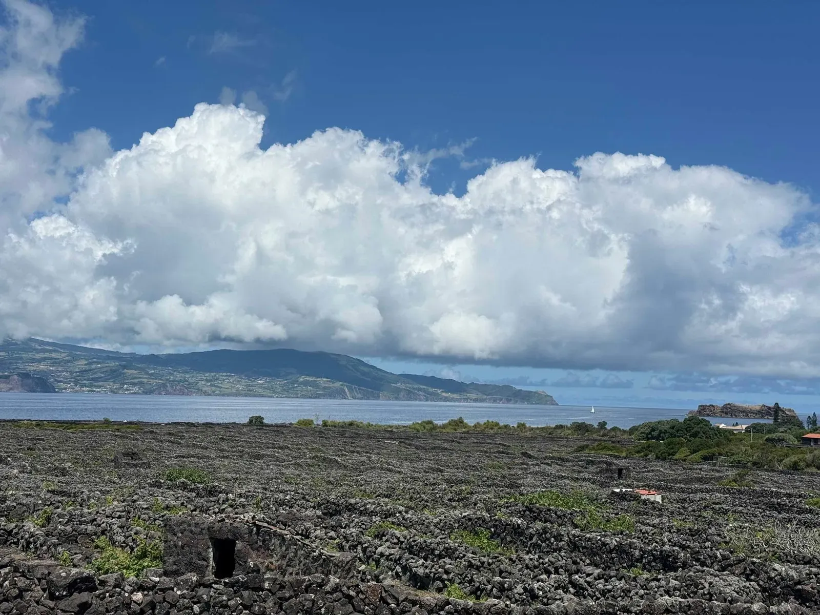 Азоры, август 2025