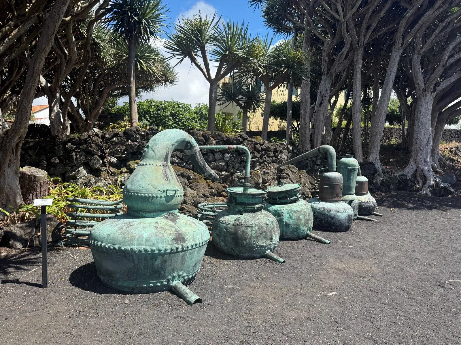 Азоры, август 2025