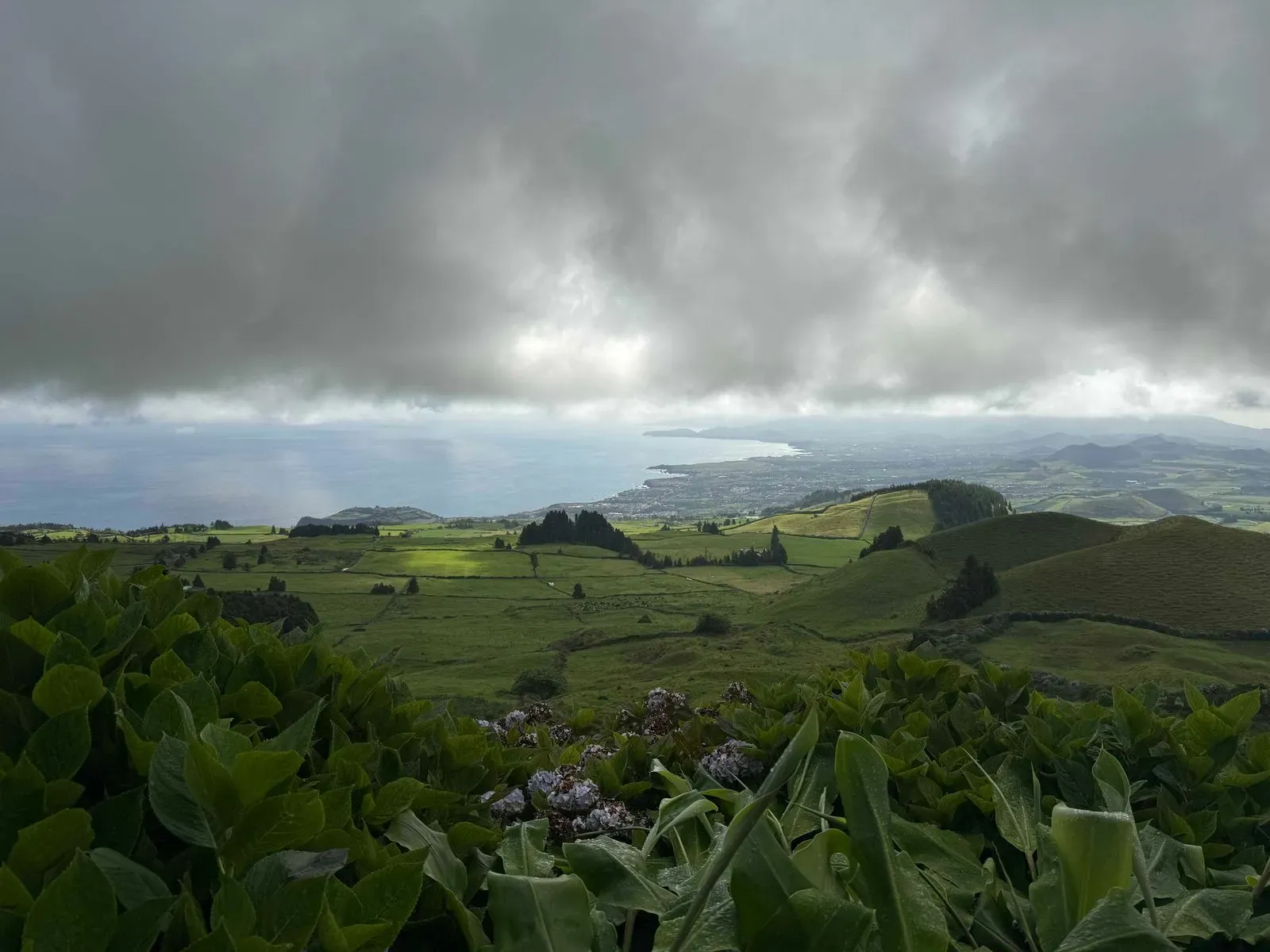 Азоры, август 2025