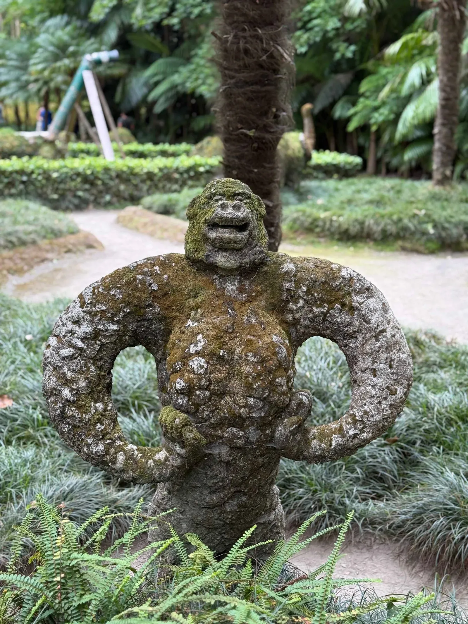 Азоры, август 2025