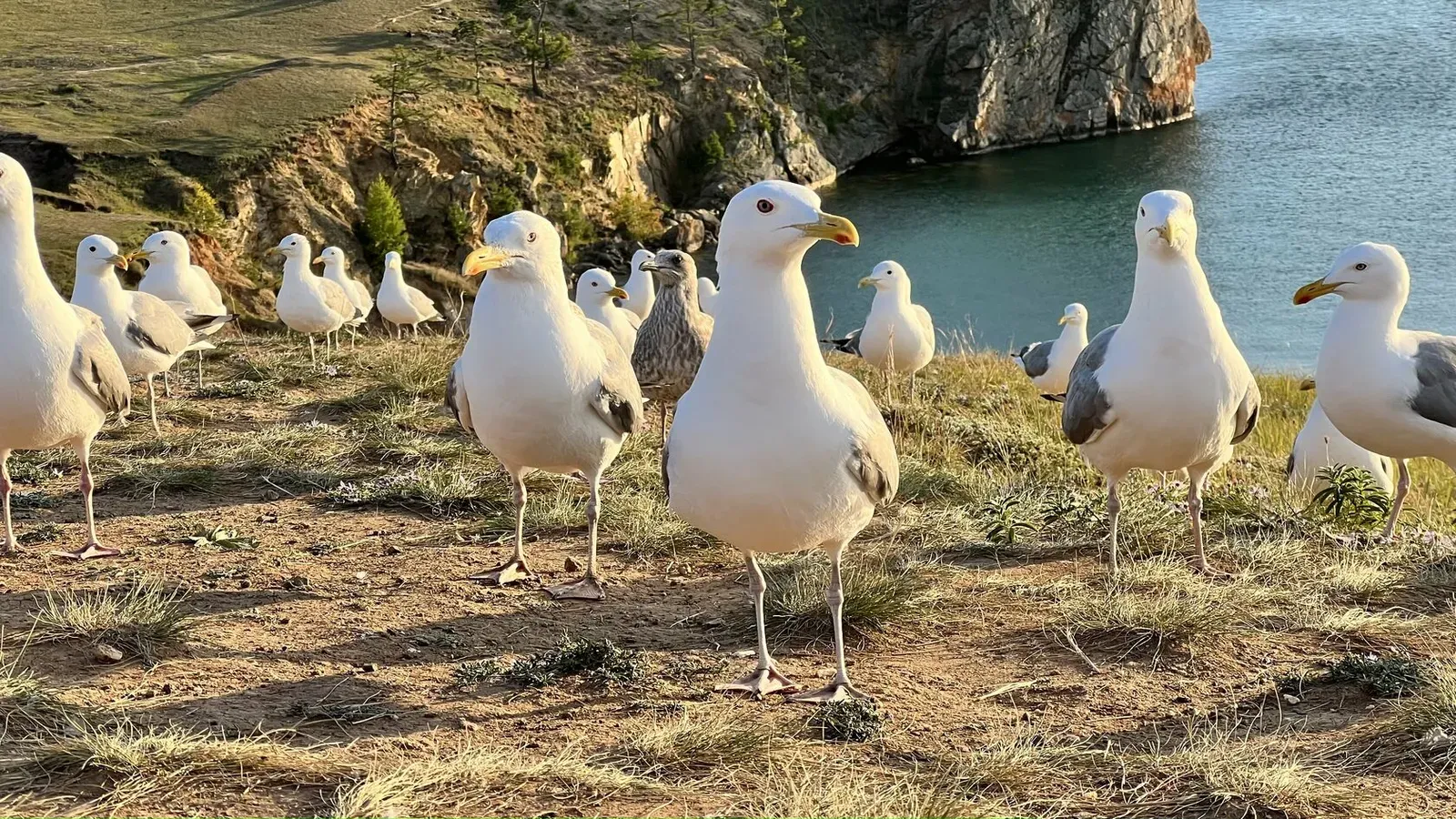 Байкал, июль 2022