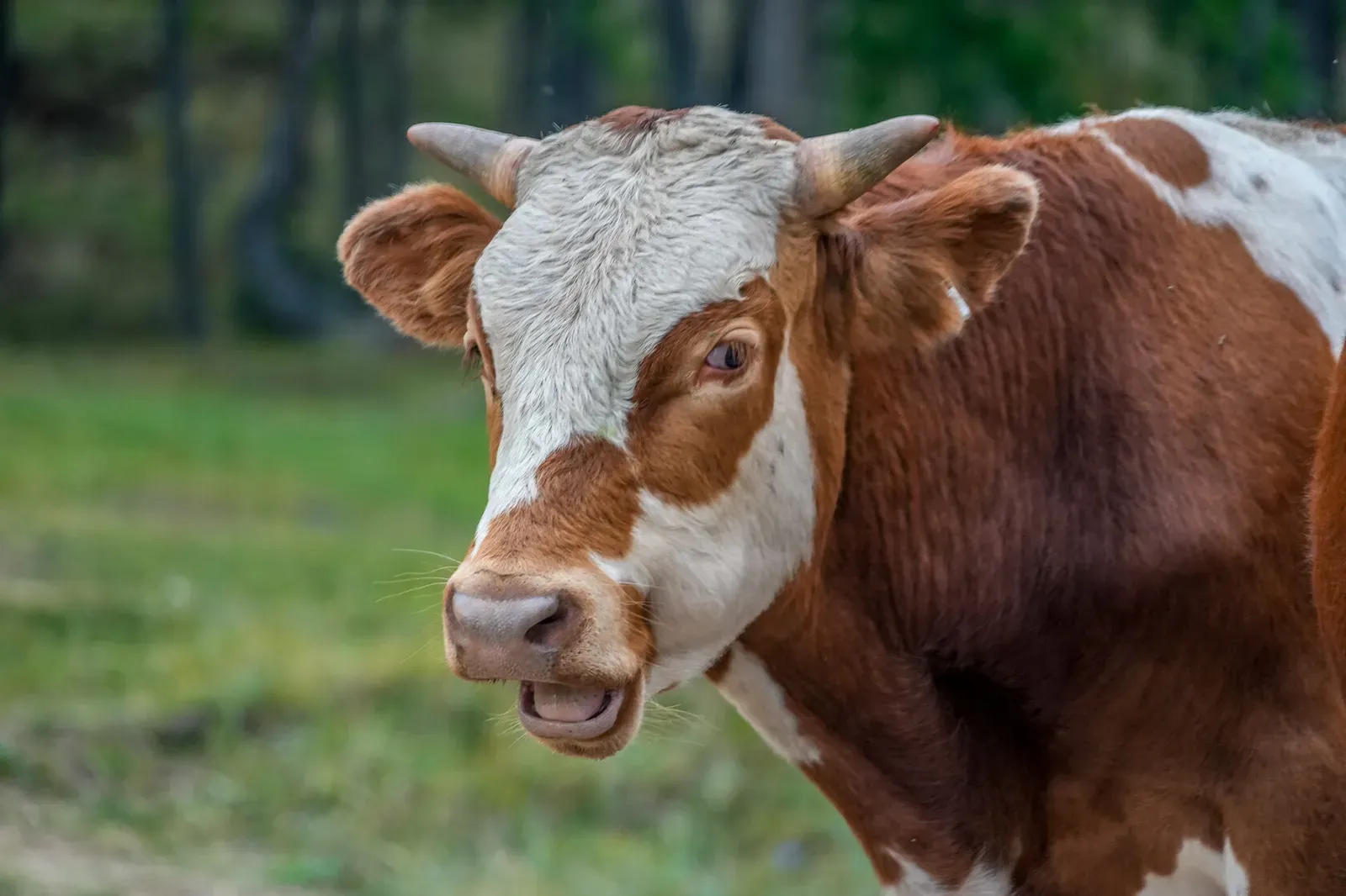 Байкал, июль 2022