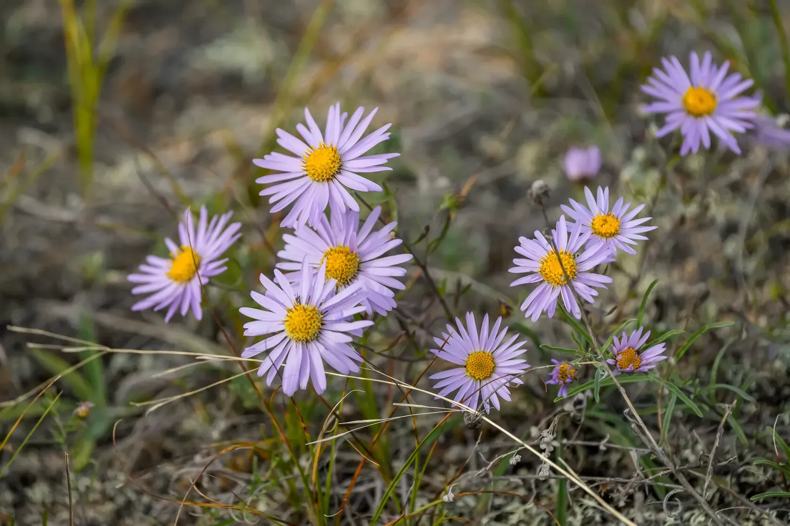 Байкал, июль 2022