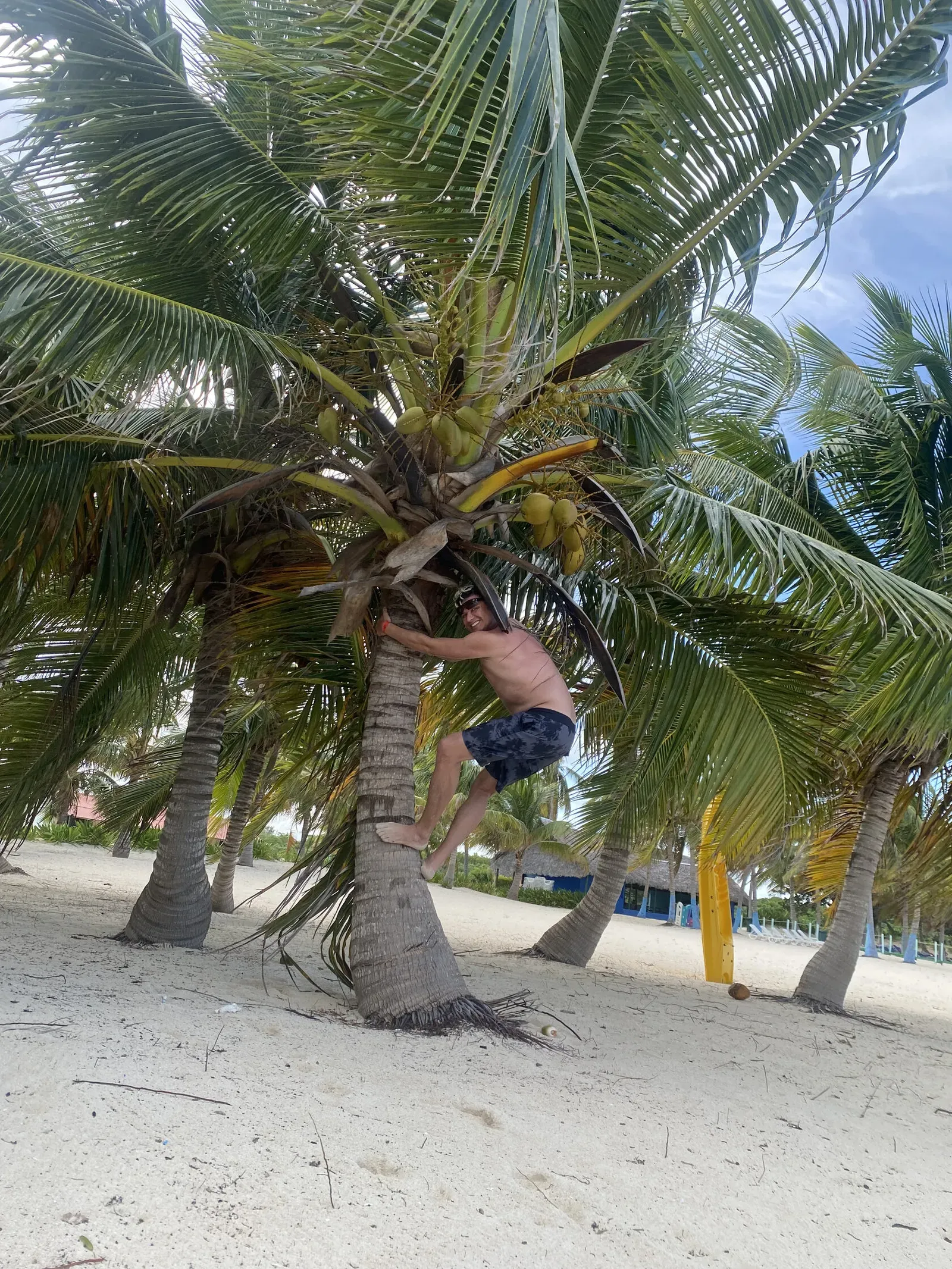 Куба, ноябрь 2023