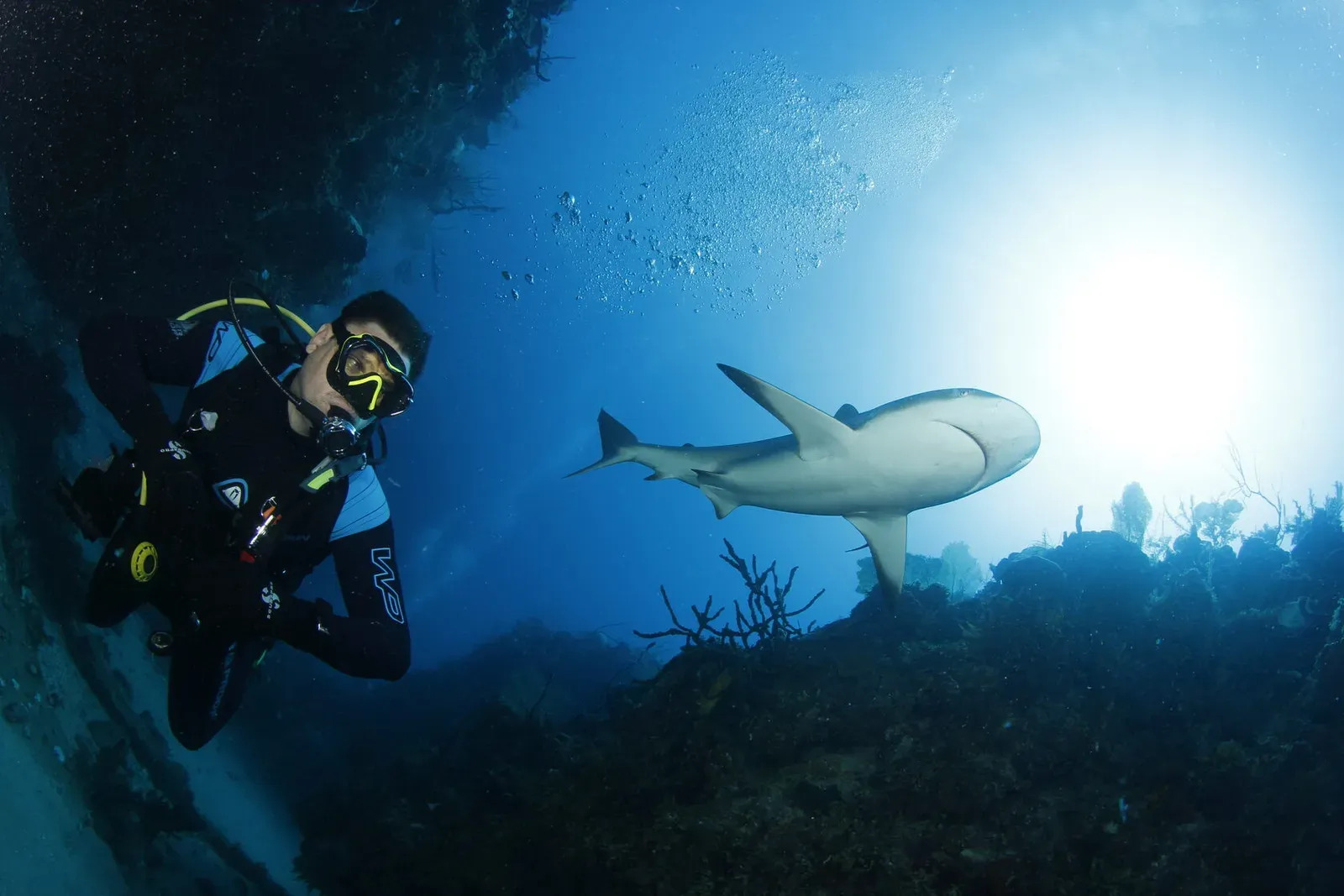 Куба, ноябрь 2023