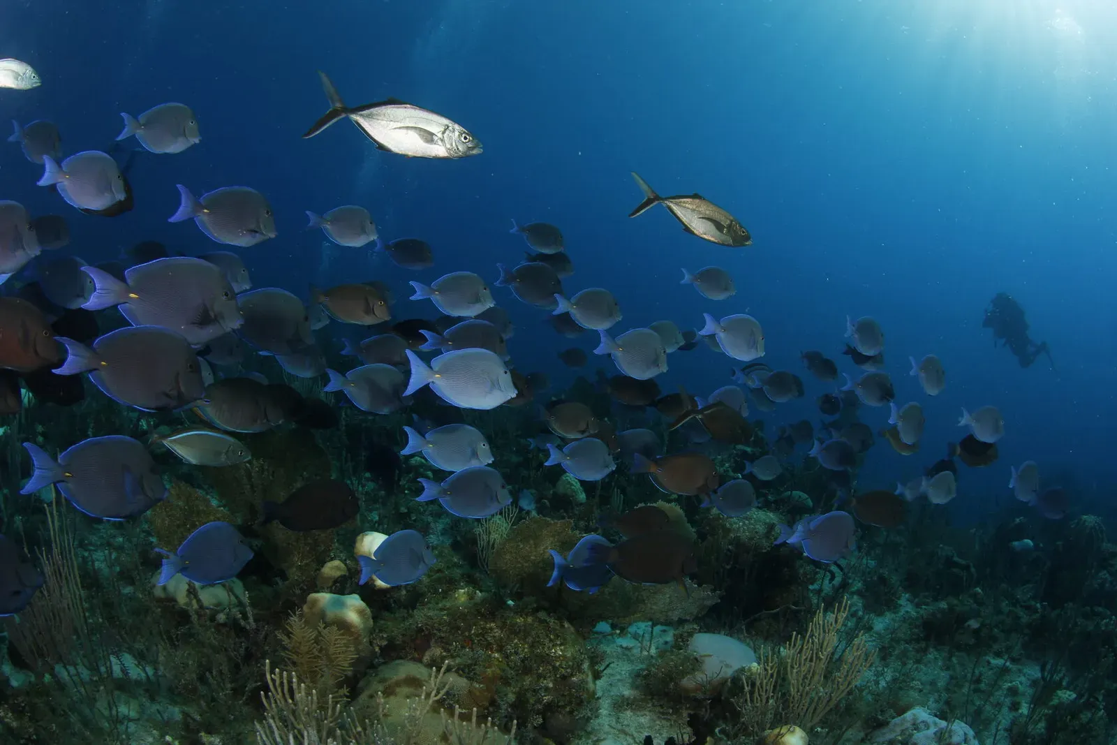 Куба, ноябрь 2023