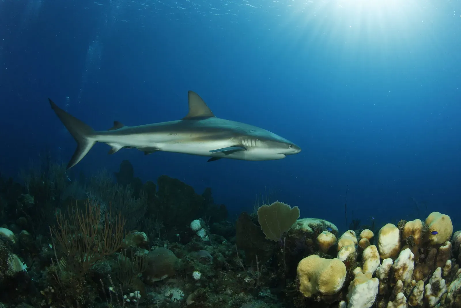 Куба, ноябрь 2023