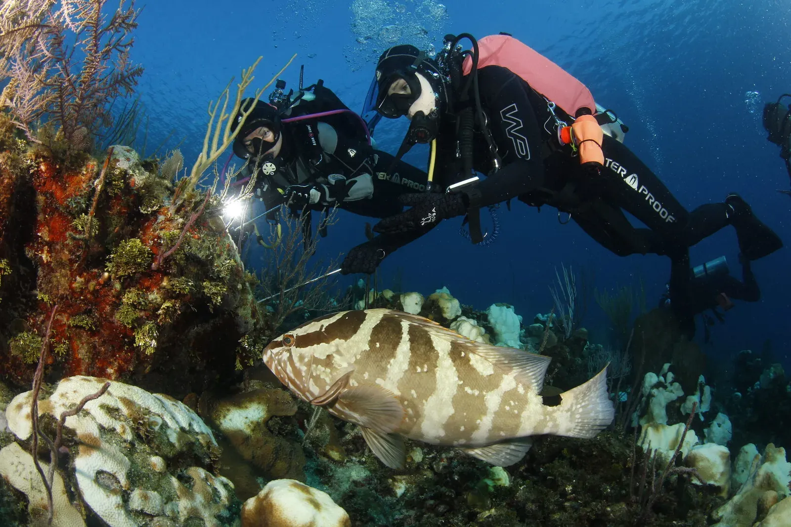 Куба, ноябрь 2023