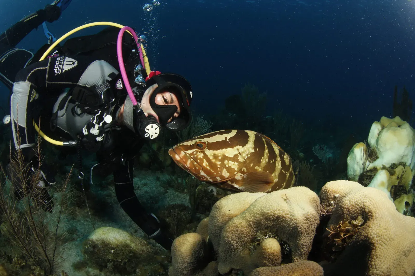 Куба, ноябрь 2023