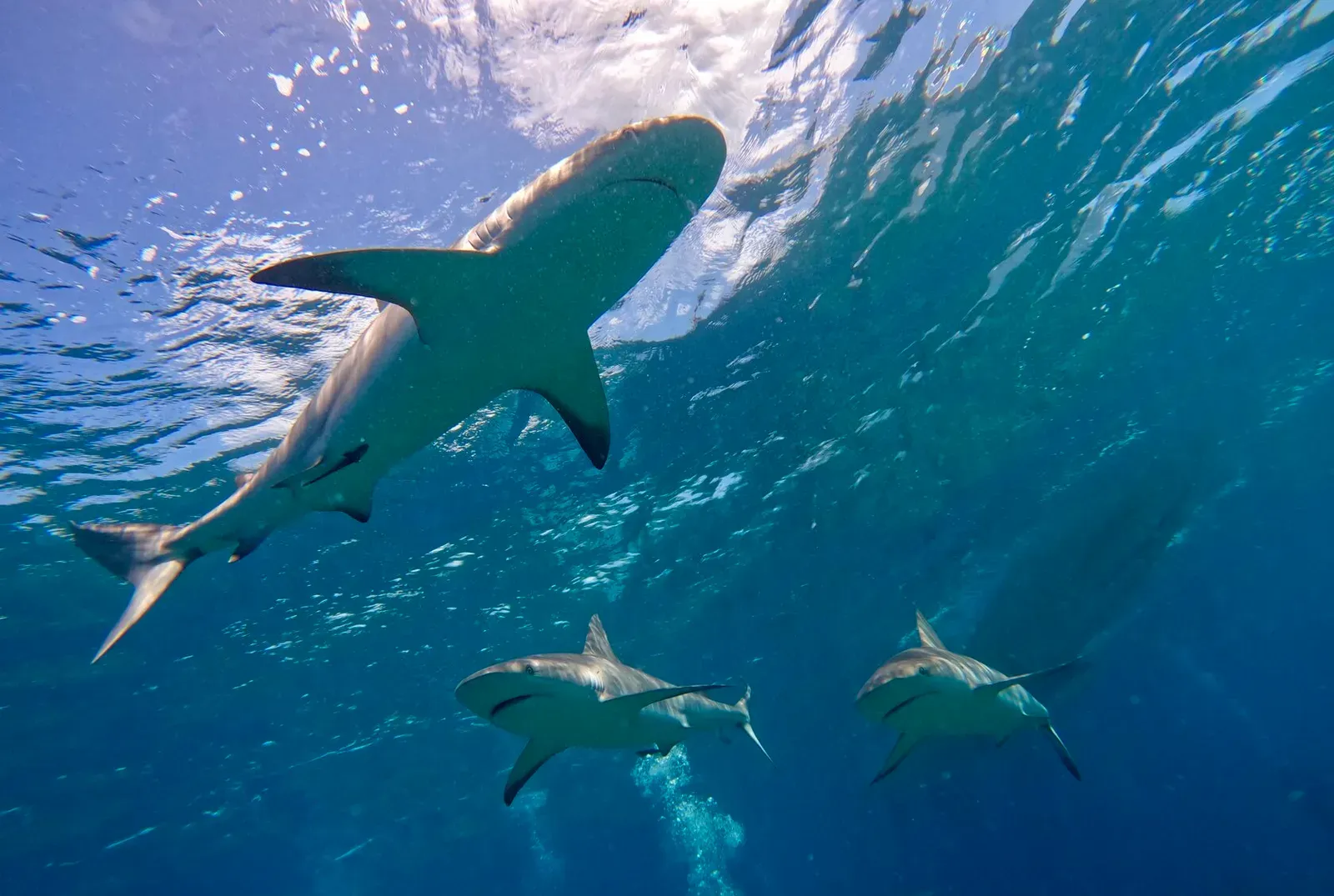 Куба, март 2024