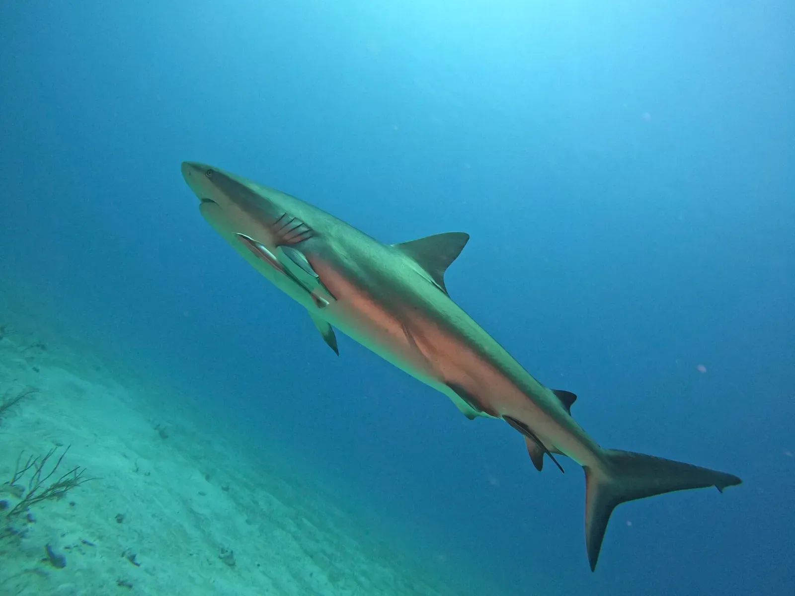 Куба, март 2024