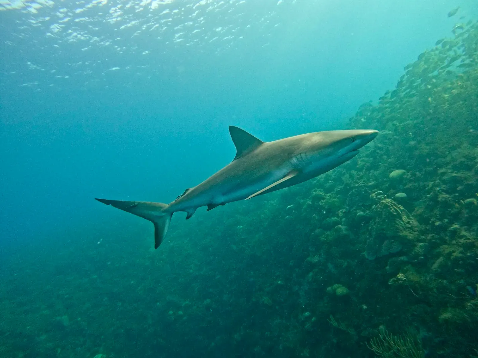 Куба, март 2024