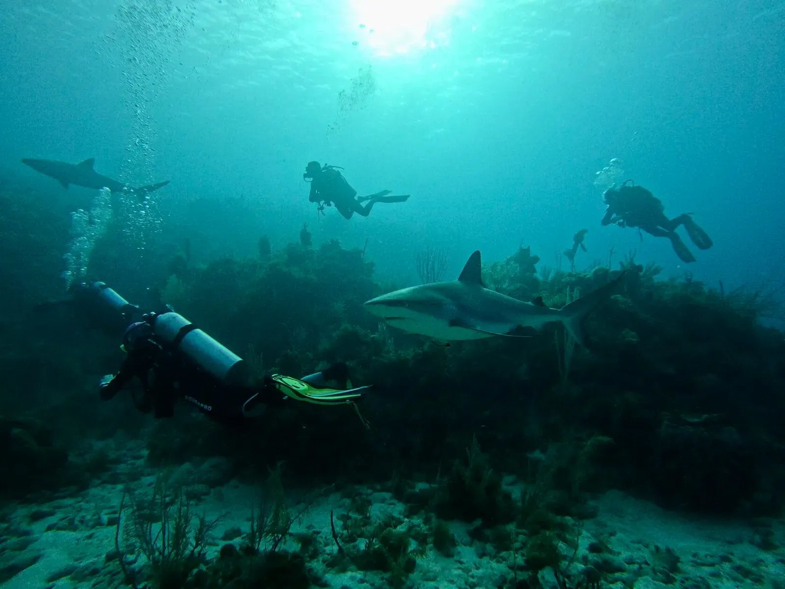 Куба, март 2024