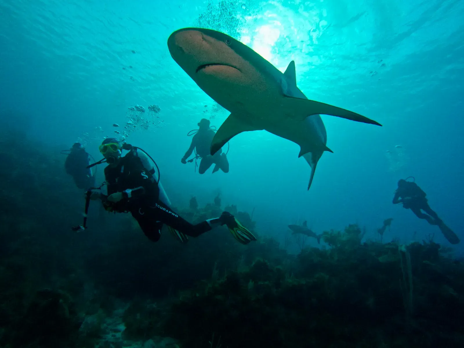 Куба, март 2024