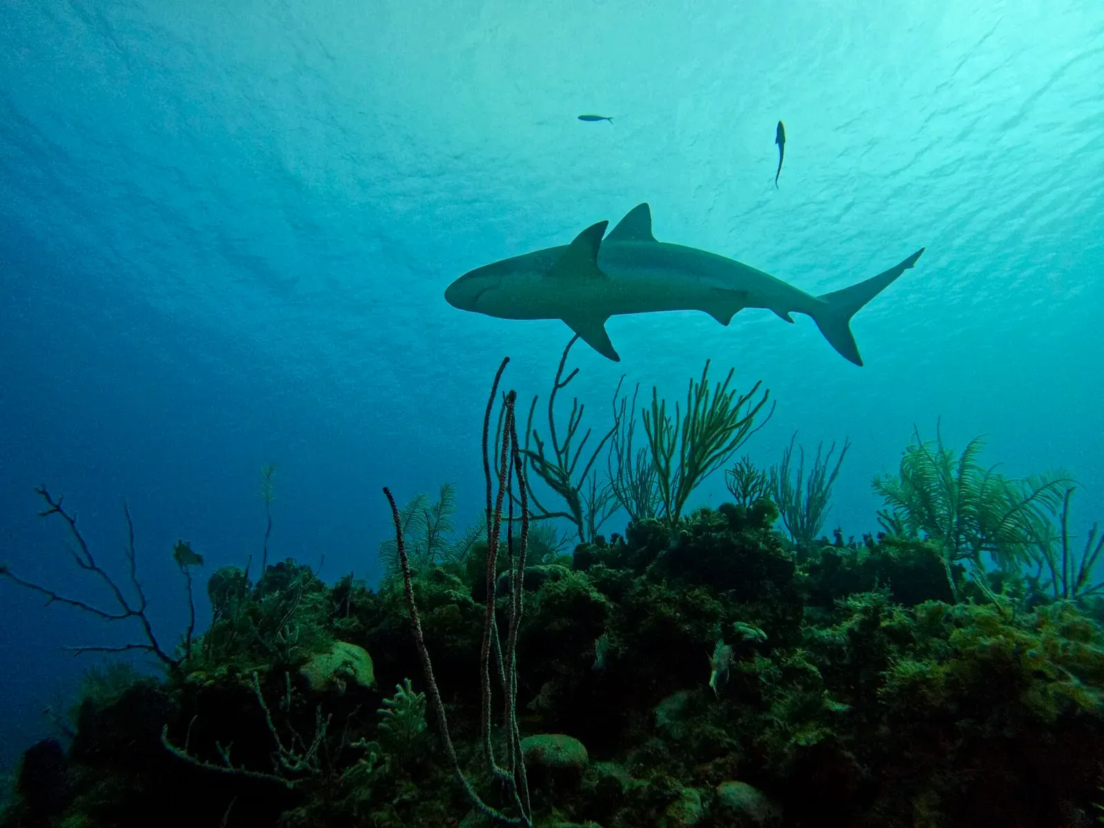 Куба, март 2024