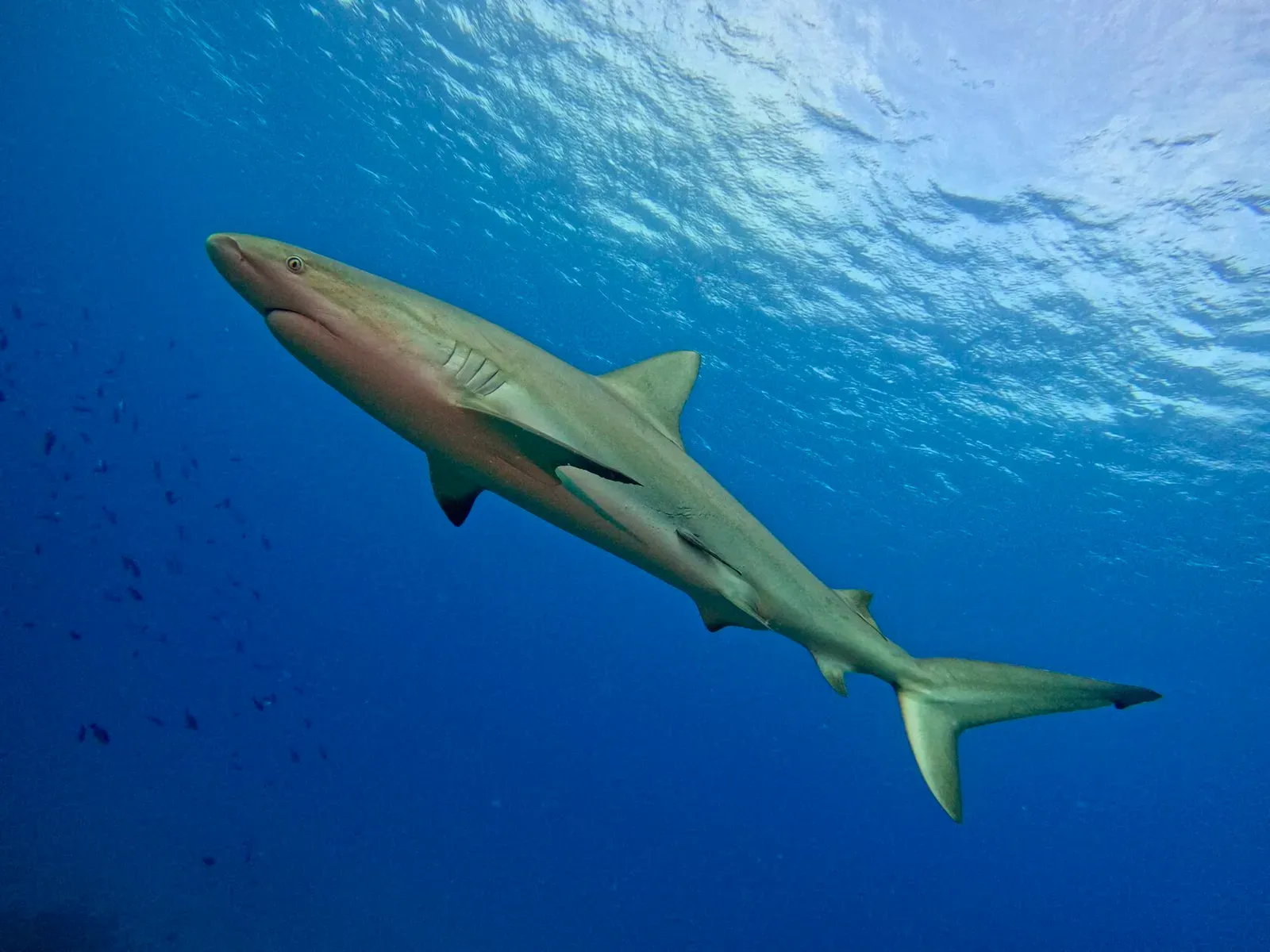 Куба, март 2024