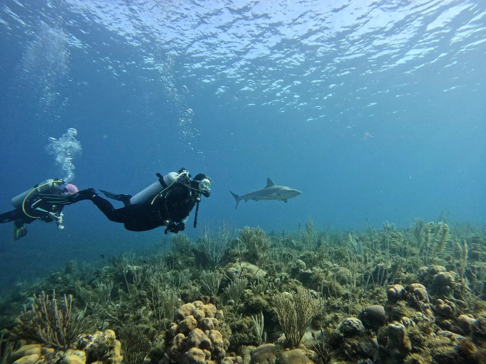 Куба, март 2024