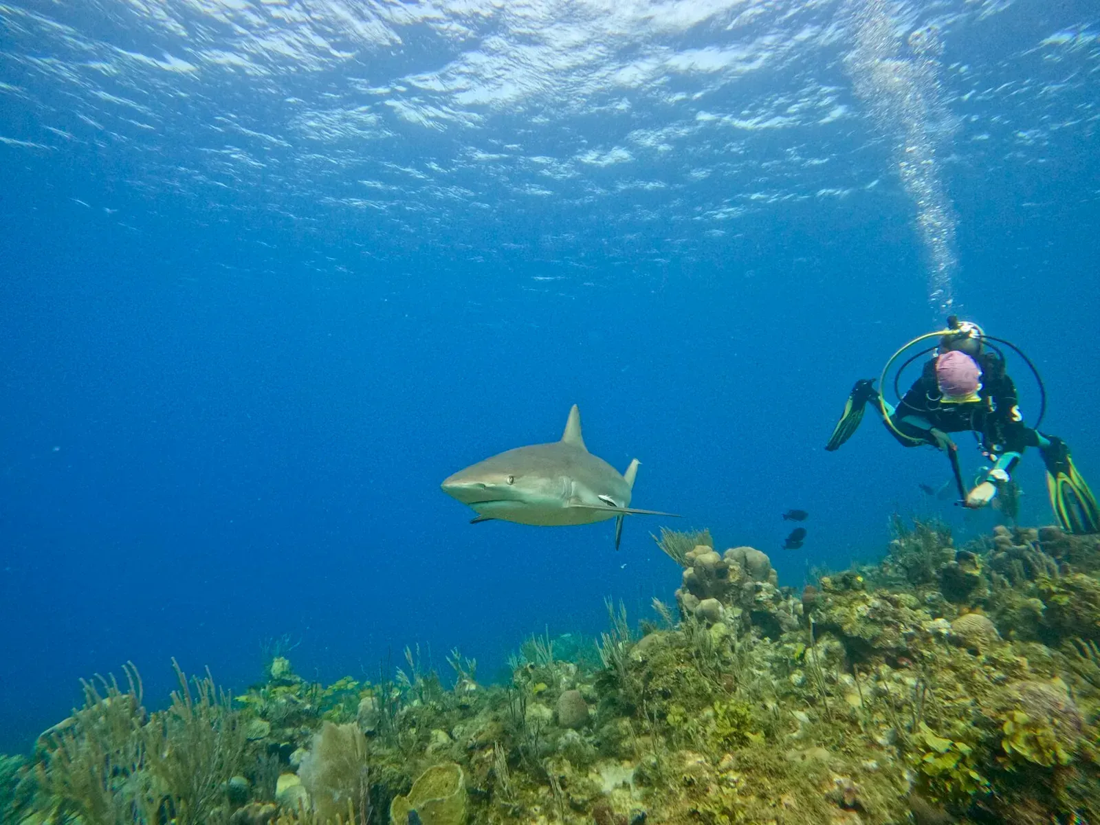 Куба, март 2024