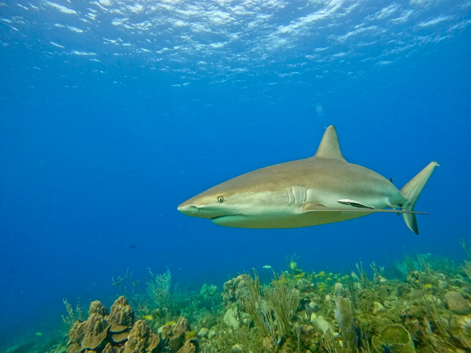 Куба, март 2024