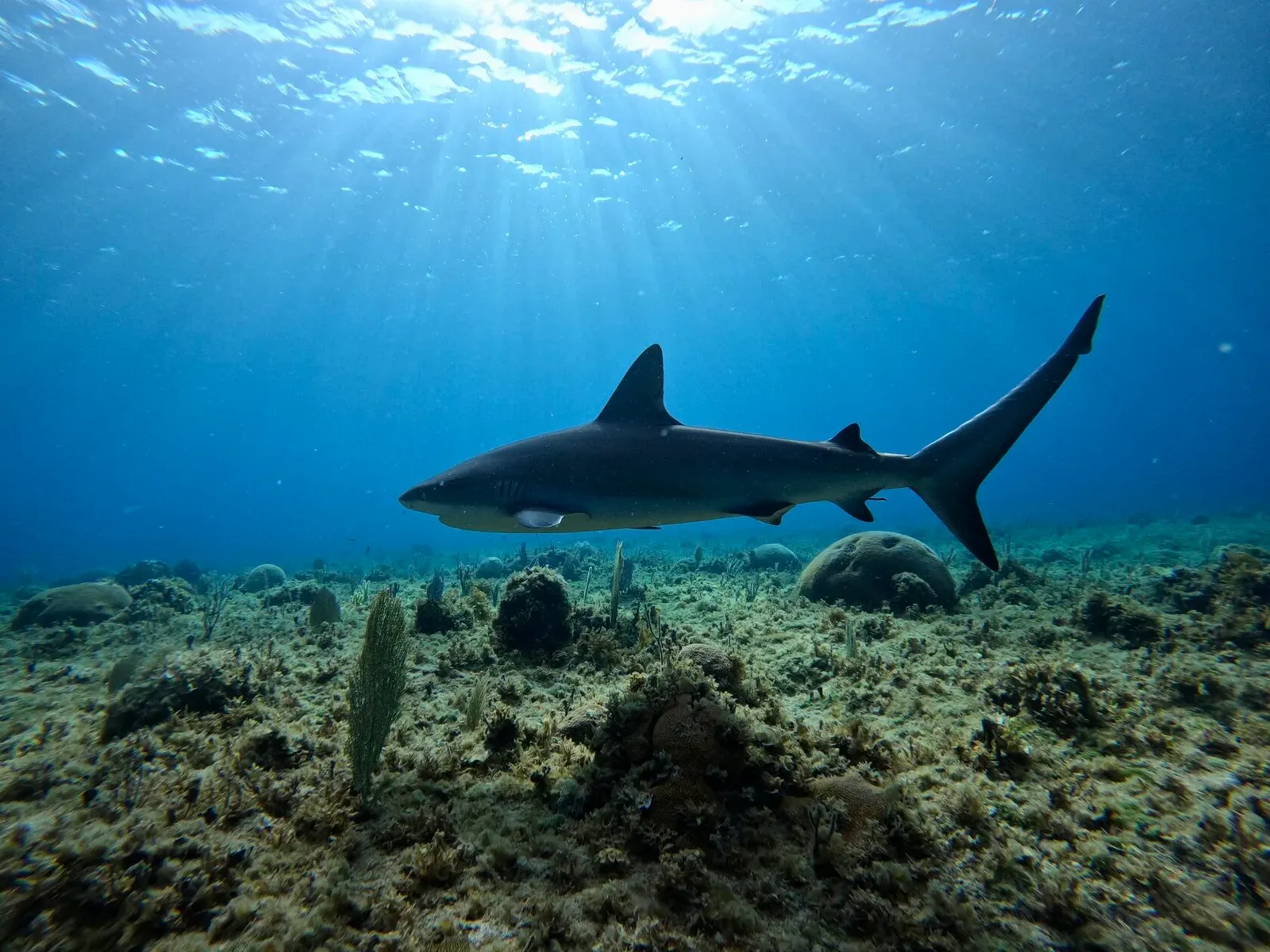 Куба, март 2024