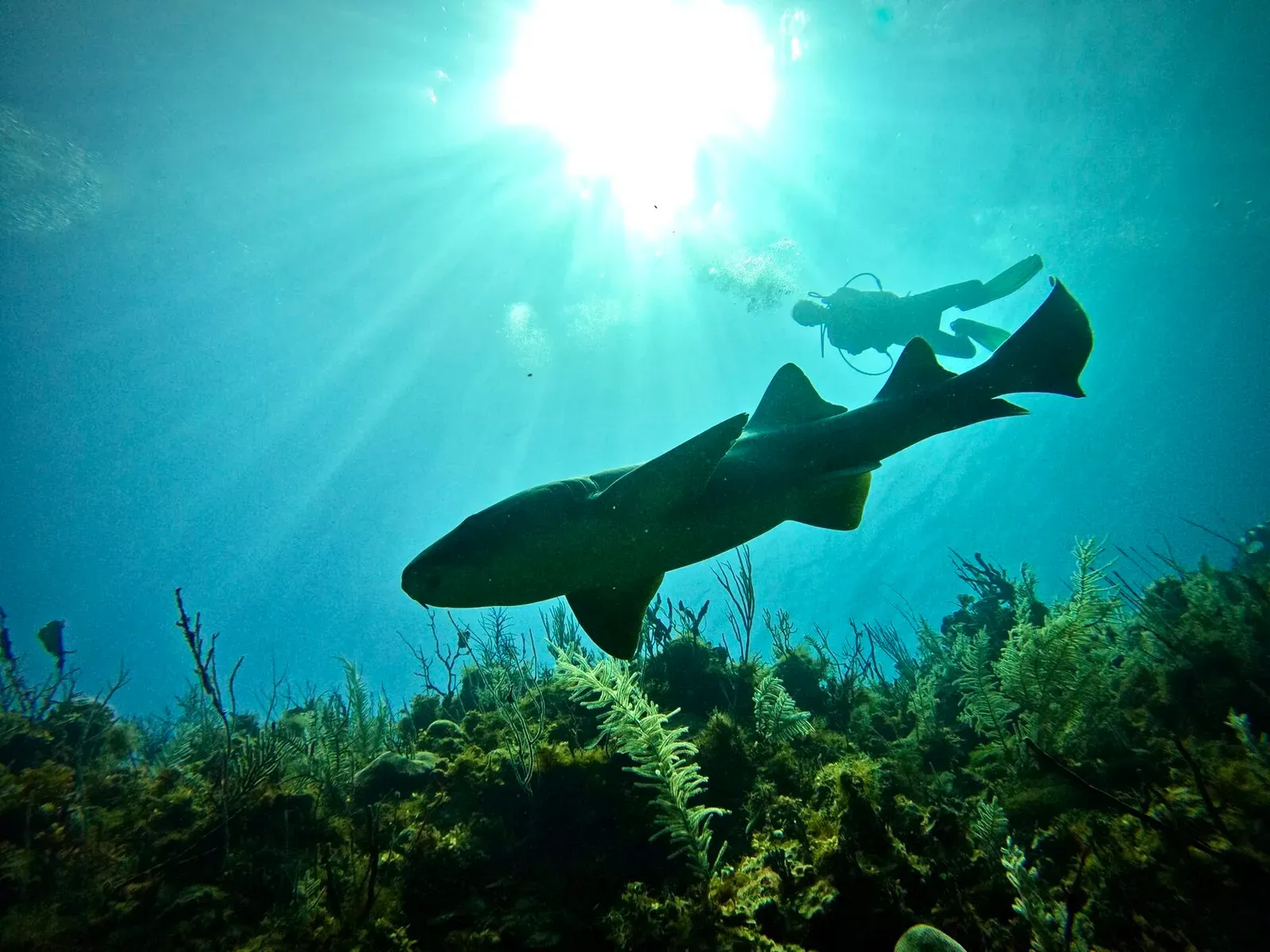 Куба, март 2024