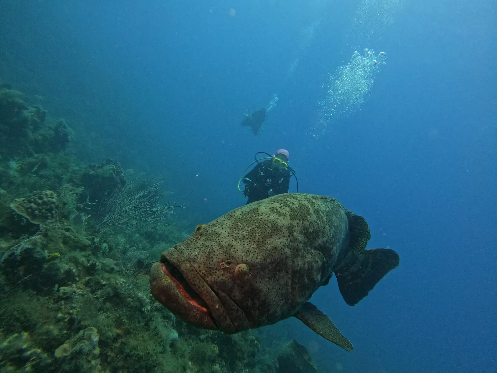 Куба, март 2024