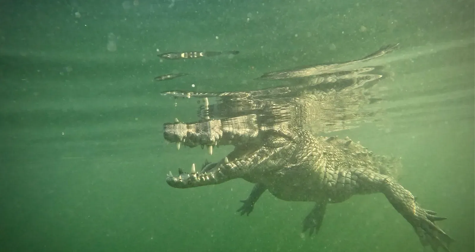 Куба, март 2024