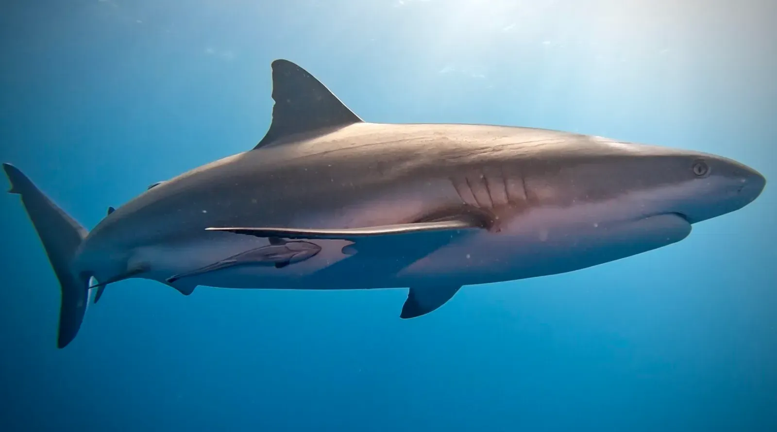 Куба, март 2024