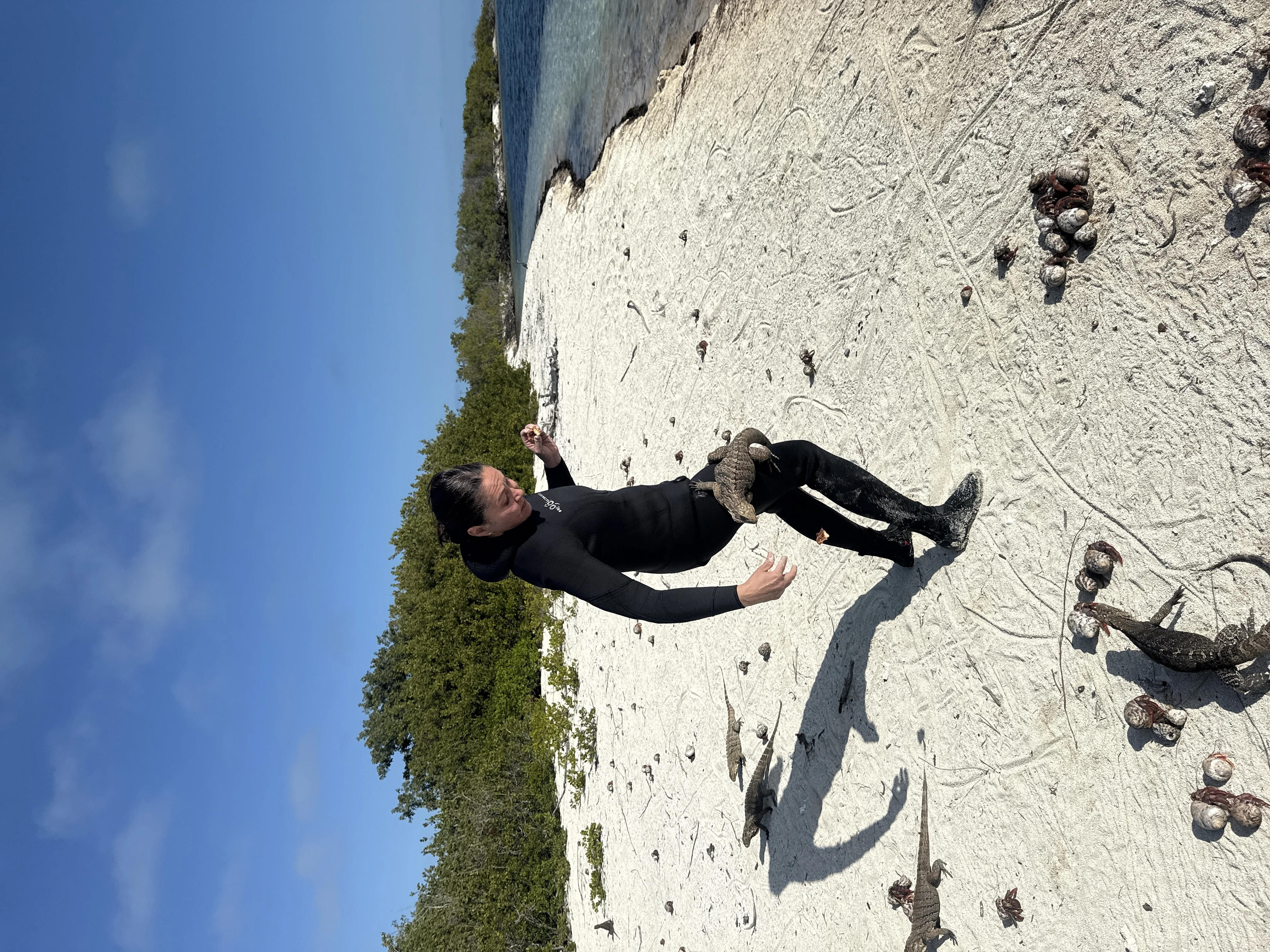 Песчаный берег острова — девушка среди игуан