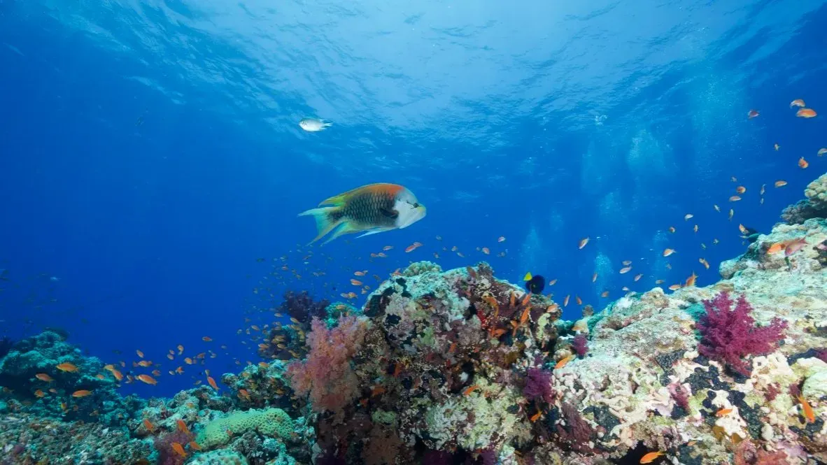 Египет, июль 2025