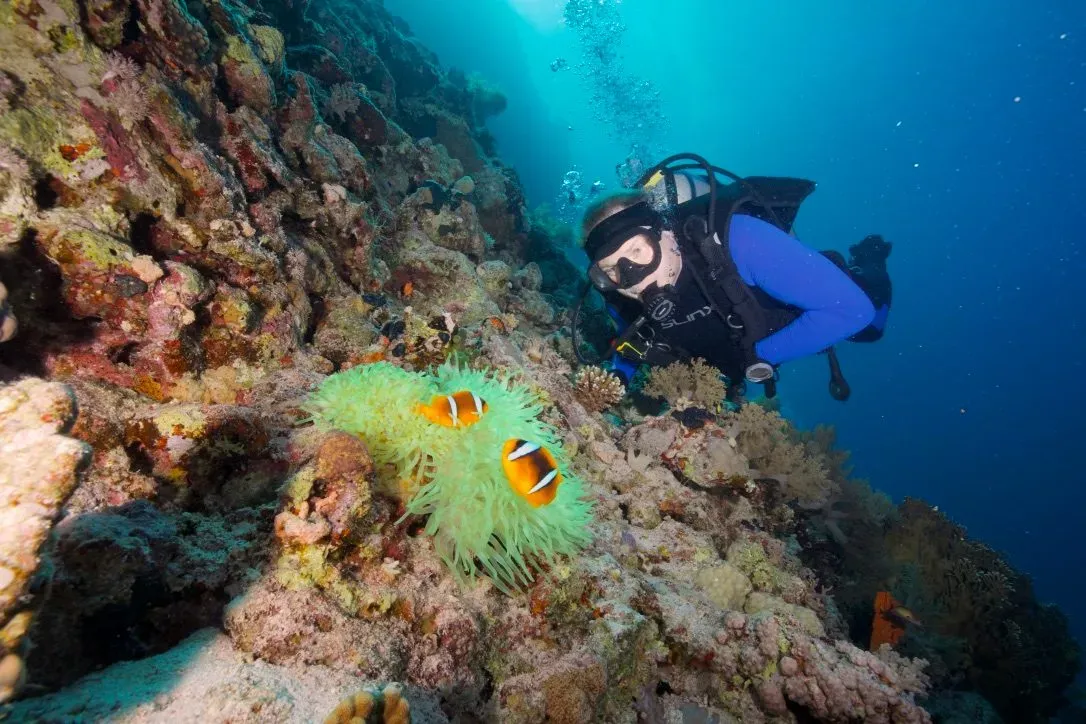 Египет, июль 2025