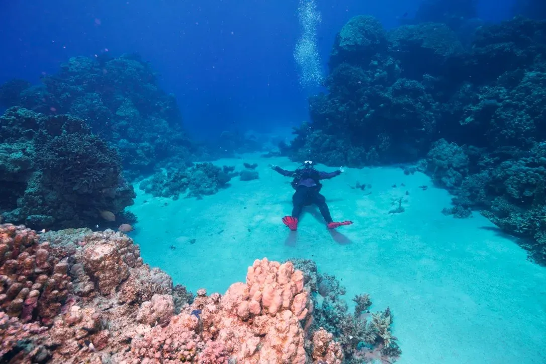 Египет, июль 2025