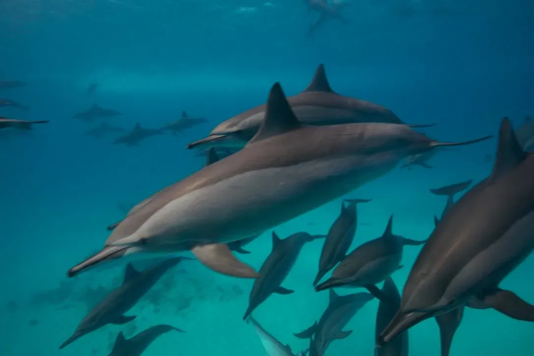 Египет, июль 2025