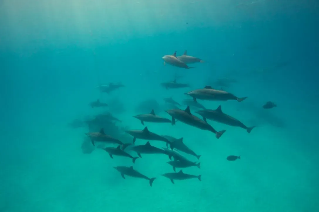 Египет, июль 2025