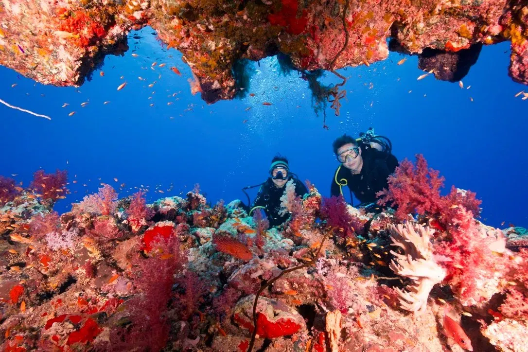 Египет, июль 2025