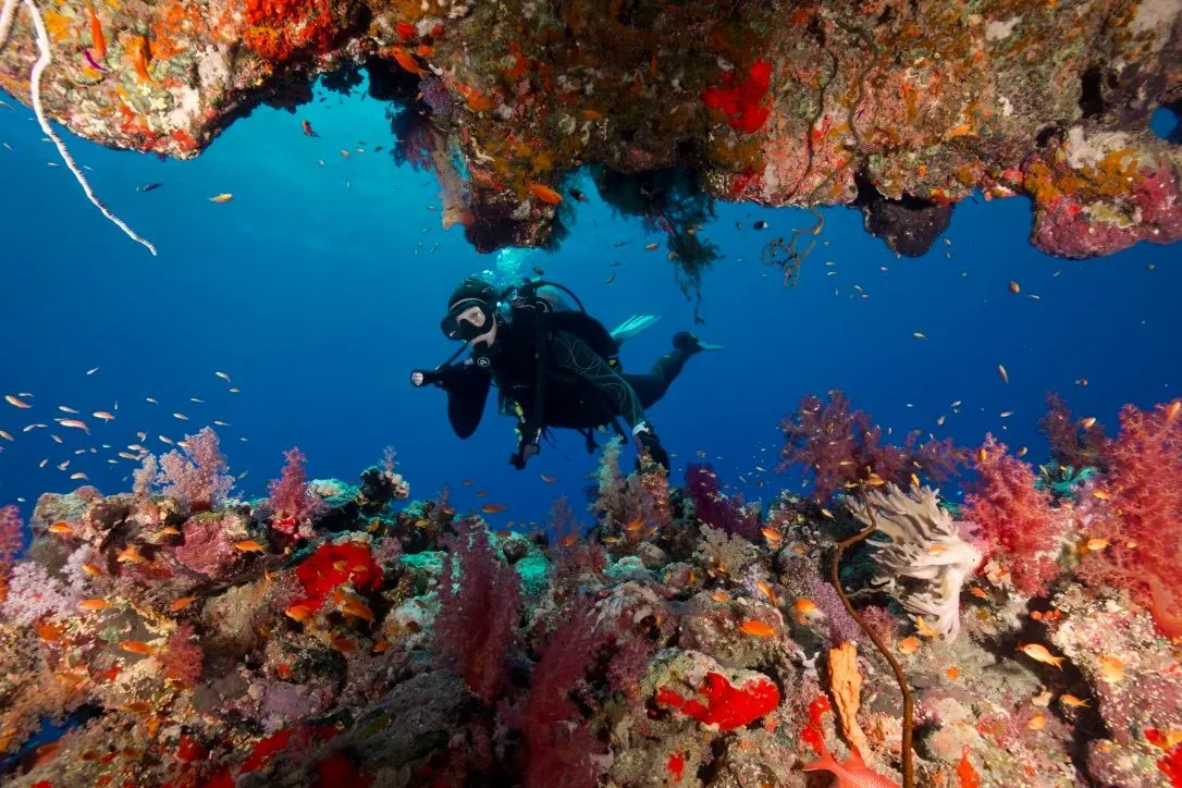 Египет, июль 2025