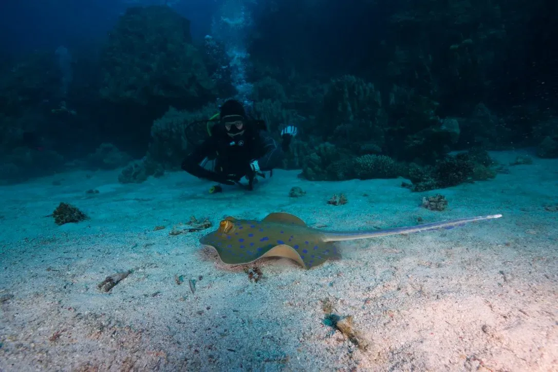 Египет, июль 2025