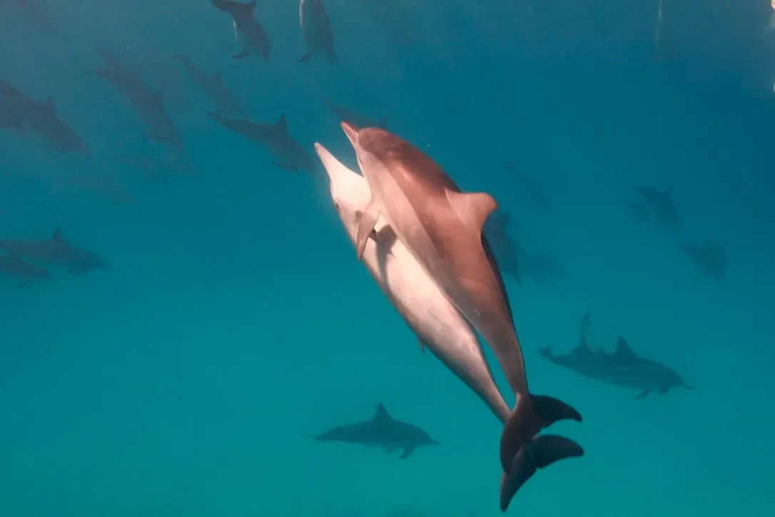 Египет, июль 2025