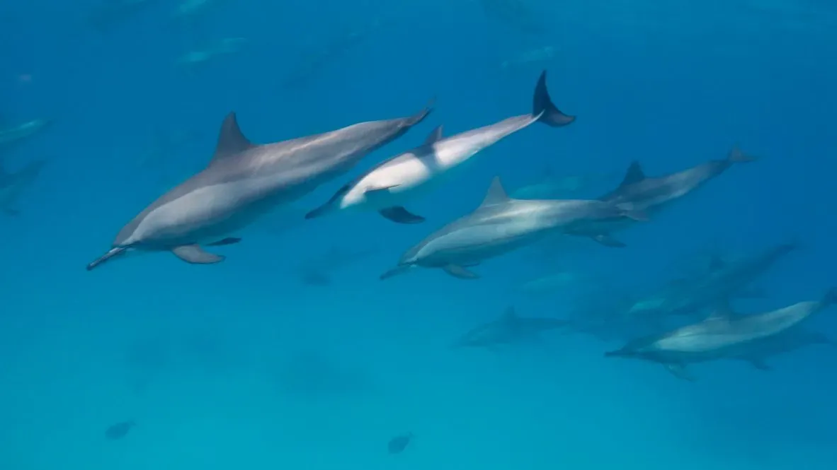 Египет, июль 2025