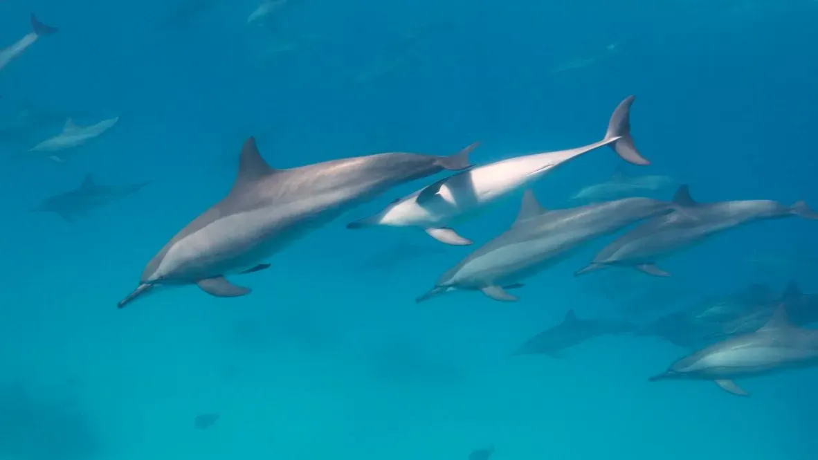 Египет, июль 2025