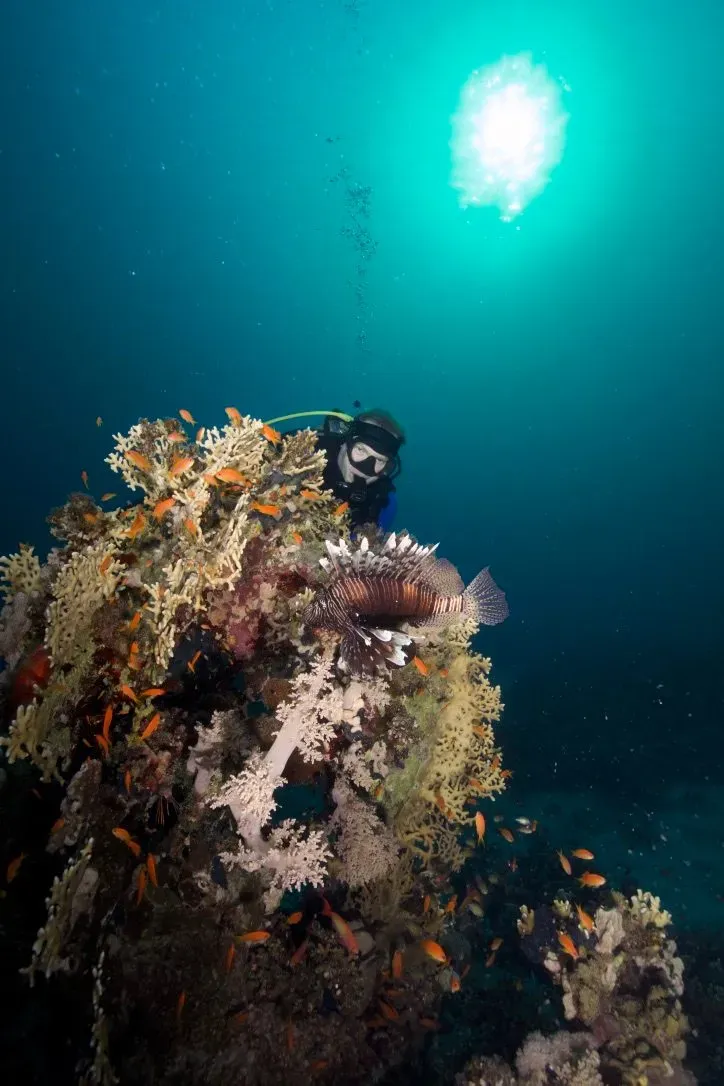 Египет, июль 2025