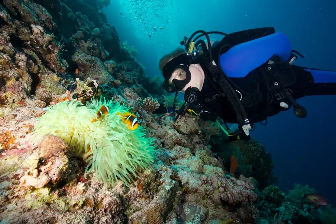 Египет, июль 2025