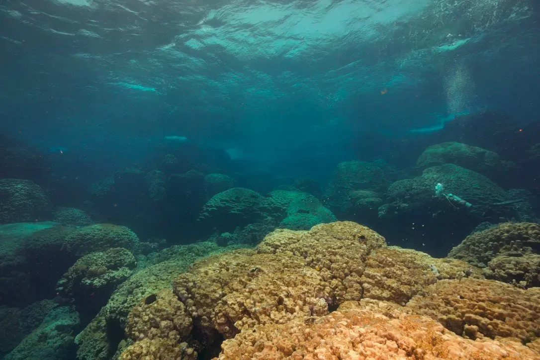 Египет, июль 2025