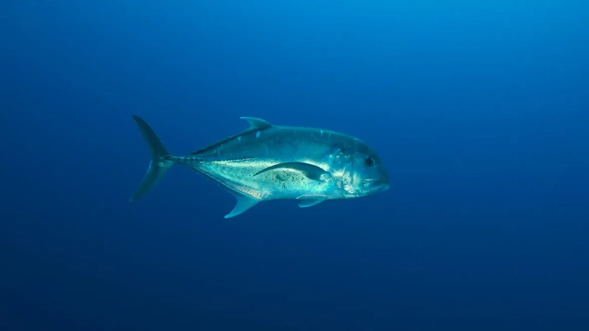 Египет, июль 2025