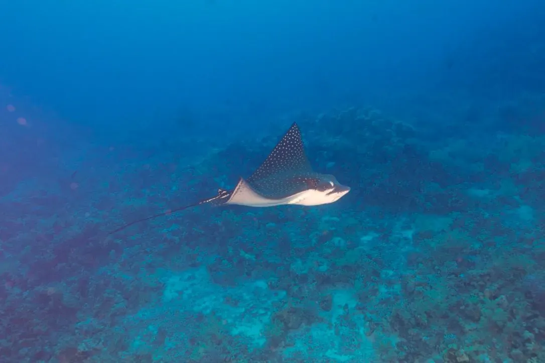 Египет, июль 2025